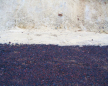  click to enlarge (land0444b.jpg) 