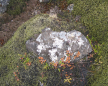  click to enlarge (land0450b.jpg) 