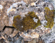  click to enlarge (land0487b.jpg) 